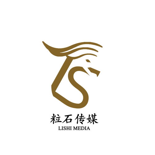 杭州粒石网络科技 互联网销售领域的创新实践与发展