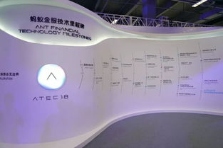 江苏中理网络科技 支付宝服务器意外中断背后的互联网销售策略与风险管控